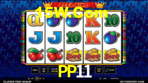 PP11 App