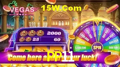Casino VIP PP11
