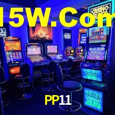 Premium Interface PP11