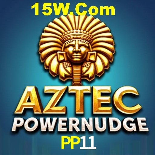 Secure Login PP11