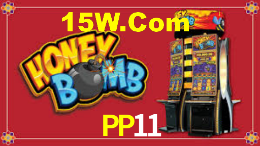 PP11,PP11 App