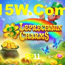 Explore as vantagens do PP11: serviço profissional e confiabilidade